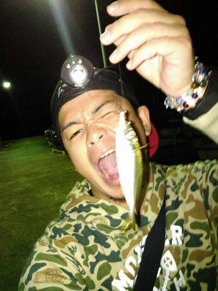 癒しのアジング！❤